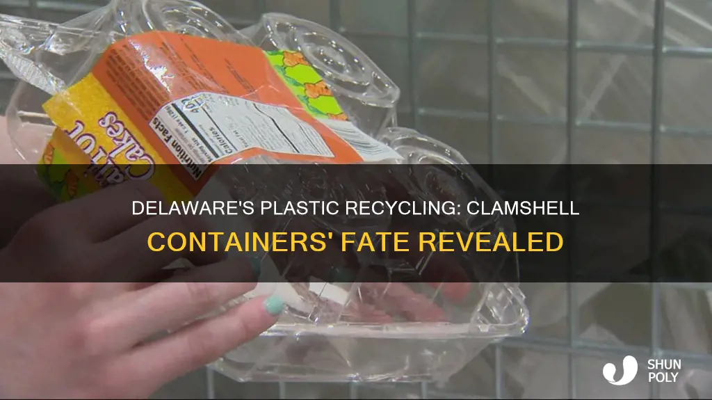 does delaware recycle plastic clamshell containers