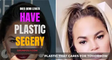 Demi Lovato's Plastic Surgery: Fact or Fiction?
