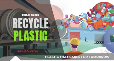 Denmark's Plastic Recycling Revolution: A Green Success Story