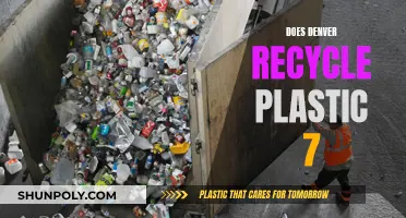 Denver's Plastic Recycling Journey: Unveiling the 7-Step Process