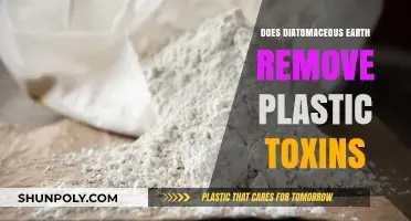 Can Diatomaceous Earth Eliminate Harmful Plastic Toxins from Your Environment?