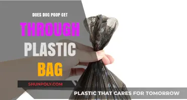 Does Dog Poop Leak Through Plastic Bags? A Practical Guide