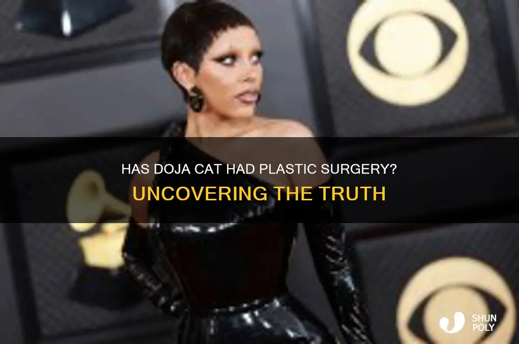 does doja cat have any plastic surgery