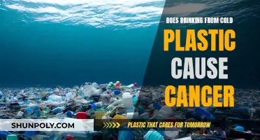Plastic Drinking: Cancer Risk or Urban Myth?