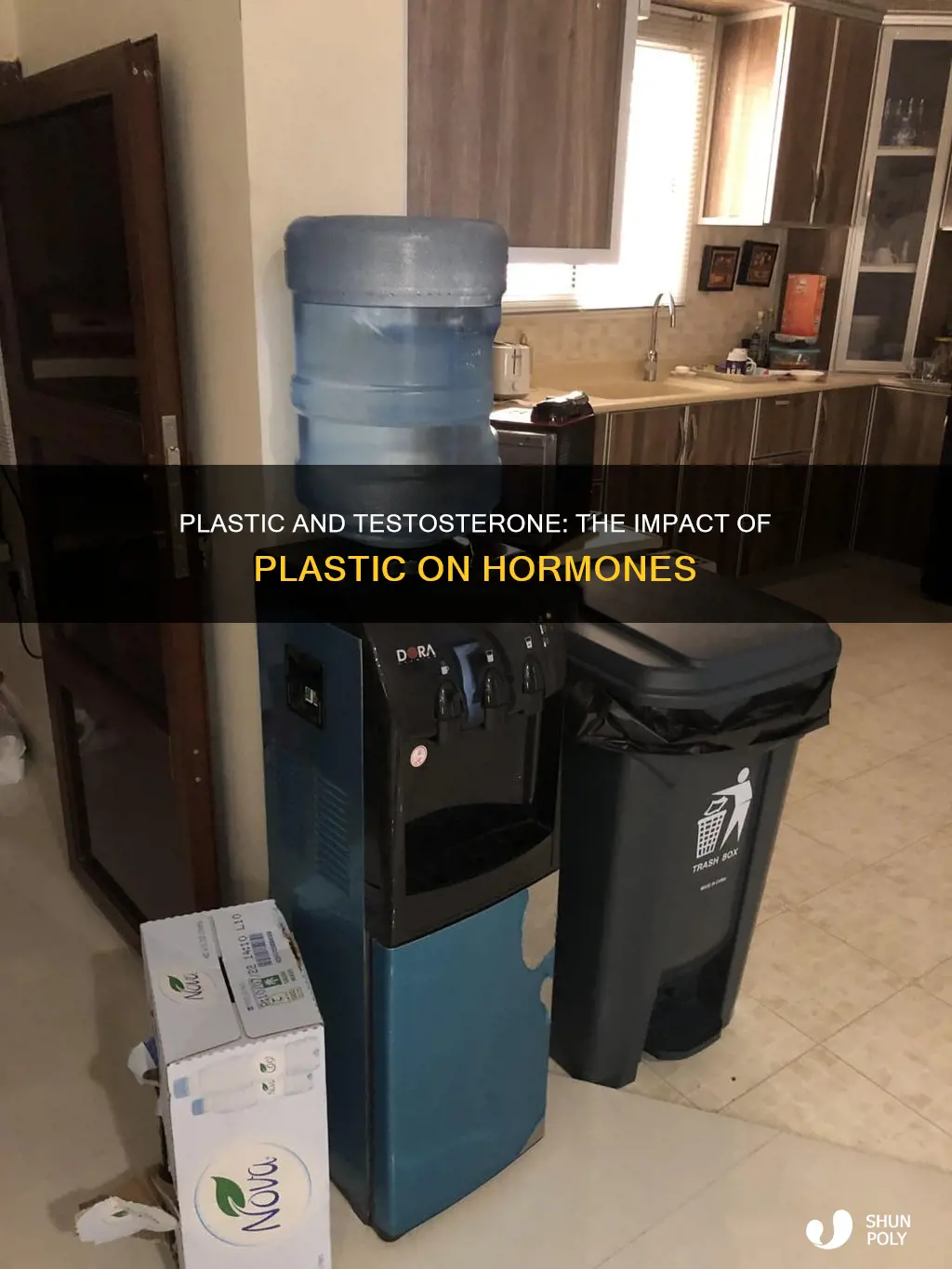 does drinking from plastic lower testosterone