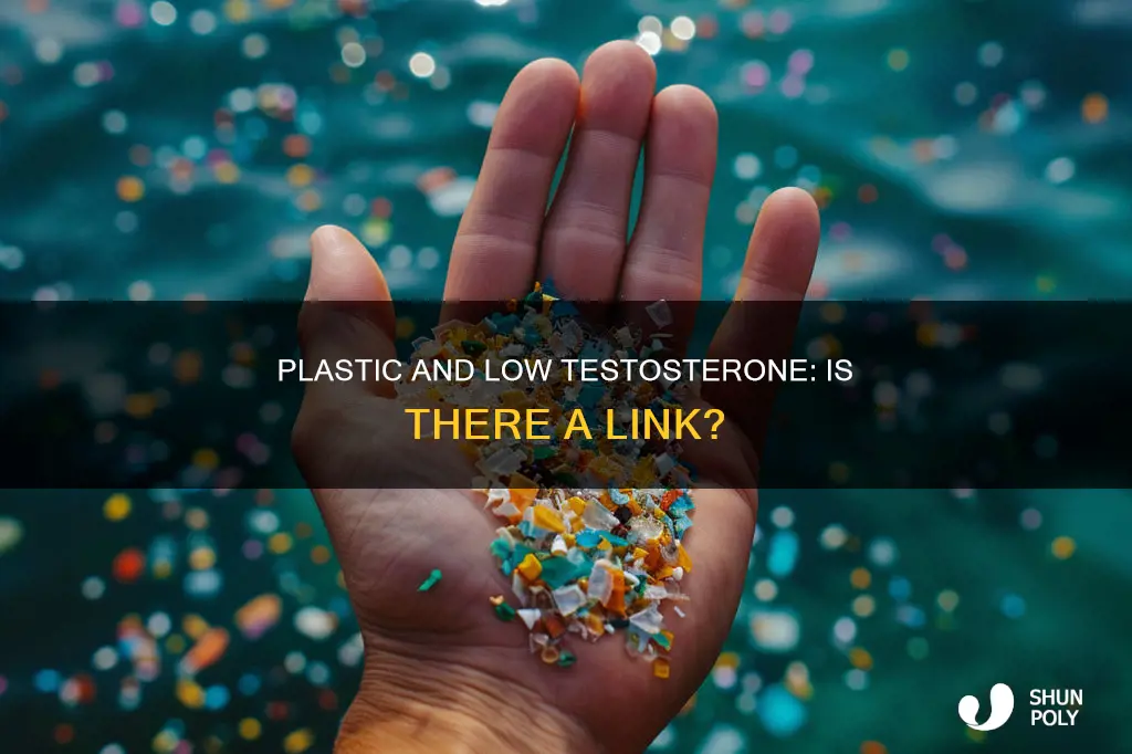 does drinking out of plastic kill tesstoserone