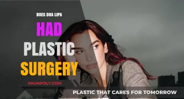 Dua Lipa Plastic Surgery Rumors: Fact or Fiction?