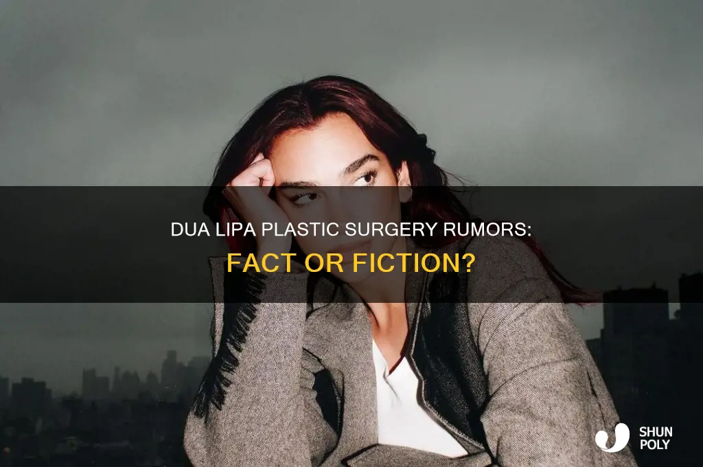 does dua lipa had plastic surgery