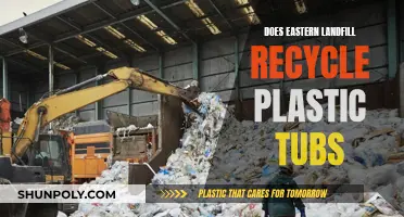 Eastern Landfill's Plastic Recycling Process: Unveiling the Mystery