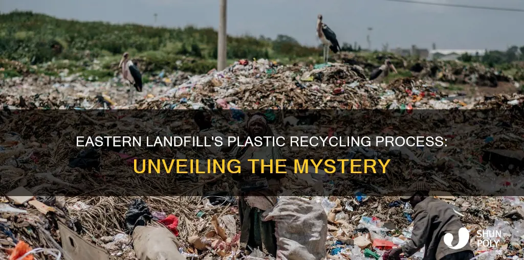 does eastern landfill recycle plastic tubs