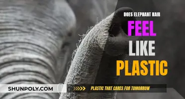 Elephant Hair Texture: Plastic or Natural?