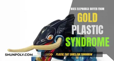 Elephorca: Gold Plastic Syndrome or Not?