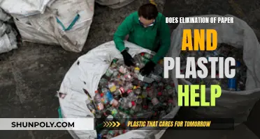 How Paper and Plastic Elimination Helps the Environment