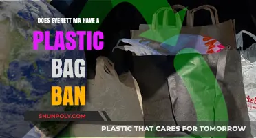 Everett, MA Plastic Bag Ban: What You Need to Know