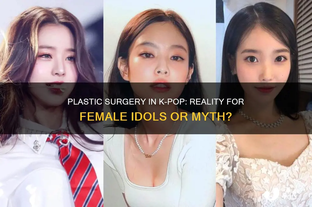 does every female idol get plastic surgery