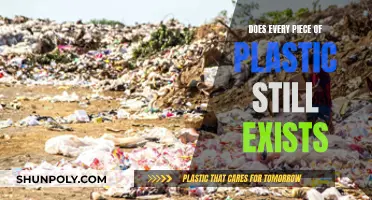 Plastic's Eternal Existence: A Troubling Reality