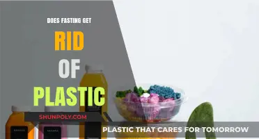 Can Fasting Eliminate Plastic Toxins from Your Body? Debunking Myths