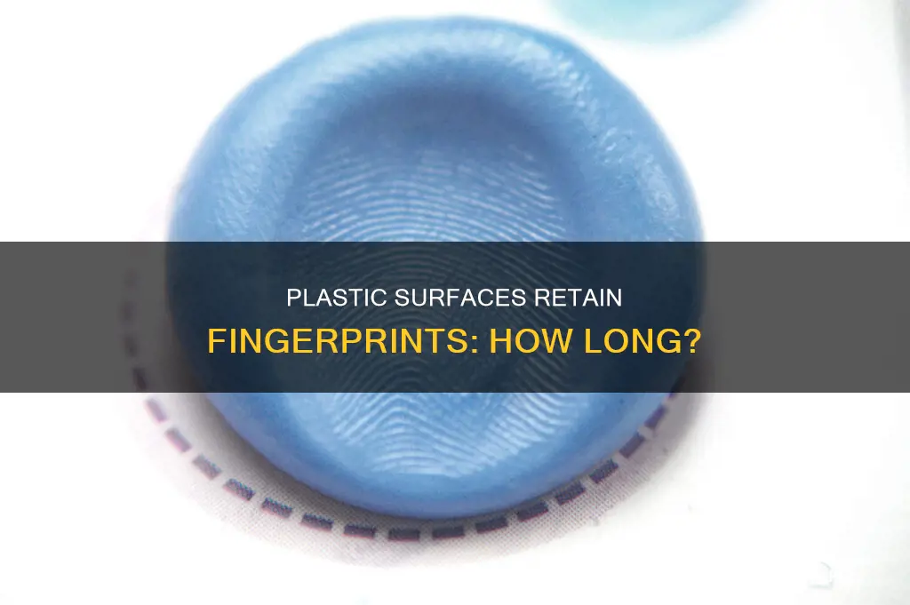 does finger print stay on plastic
