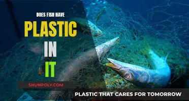 Plastic in Fish: What's the Deal?
