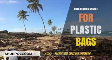 Florida's Plastic Bag Policy: Are Consumers Charged for Usage?