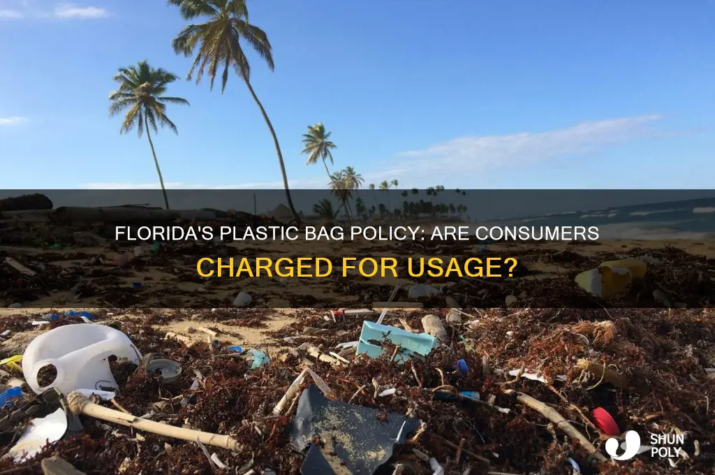 does florida charge for plastic bags