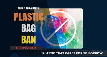 Florida's Plastic Bag Policy: Understanding Current Regulations and Bans