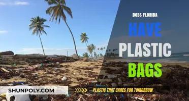 Florida's Plastic Bag Policy: What You Need to Know