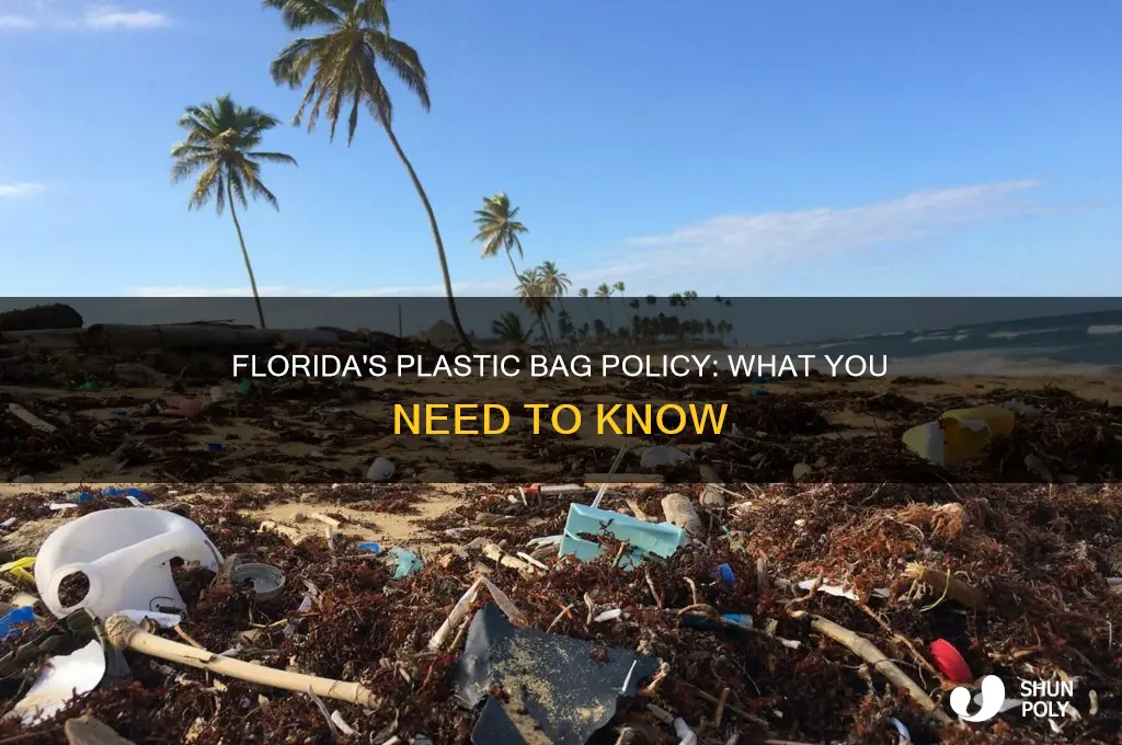 does florida have plastic bags