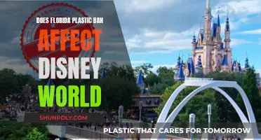 Disney World's Plastic Ban: Florida's New Law Impact