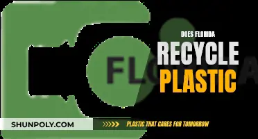 Unveiling Florida's Plastic Recycling Mystery: A Green Revolution?