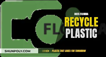 Florida's Plastic Recycling: Effective or Not?