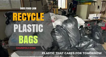 Does Food Lion Recycle Plastic Bags? Uncovering Their Sustainability Practices