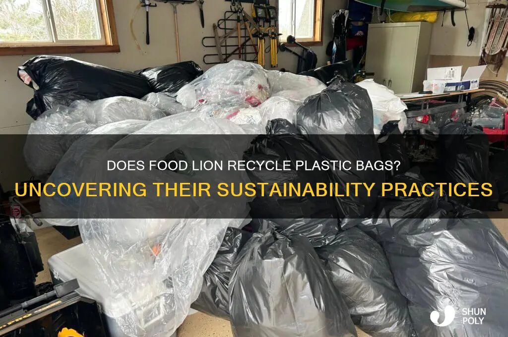 does food lion recycle plastic bags