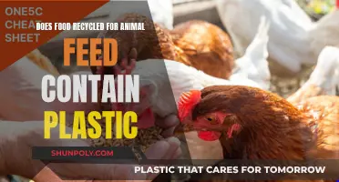 Unveiling the Plastic Truth: Recycled Food for Animals