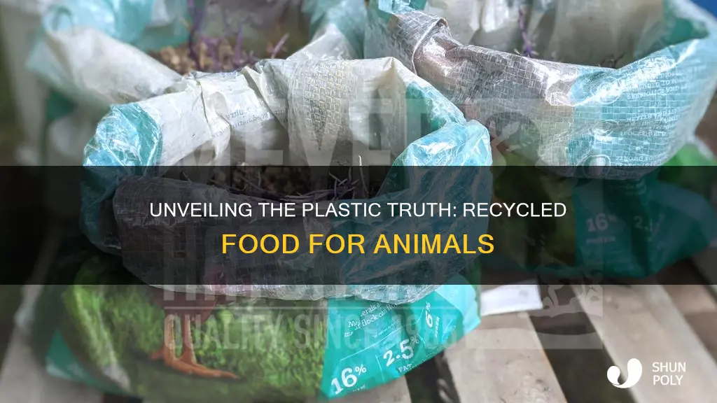 does food recycled for animal feed contain plastic