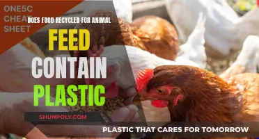Food Waste for Animal Feed: Plastic Contamination Risk?