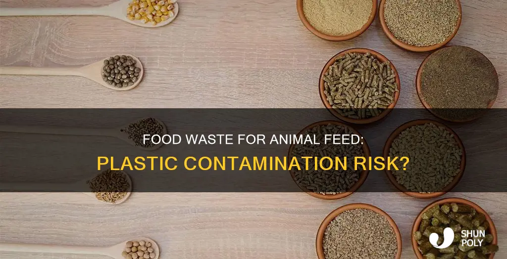 does food recycled for animal feed contain plastic