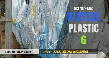 Fort Collins' Plastic Recycling: Unveiling the 6-Step Process