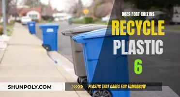 Fort Collins' Plastic 6 Recycling: What's the Deal?