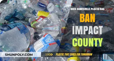 Gainesville's Plastic Bag Ban: County-Wide Effects and Environmental Impact