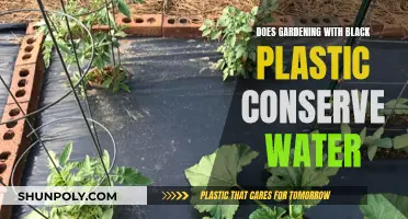 Black Plastic Gardening: Water Conservation Method