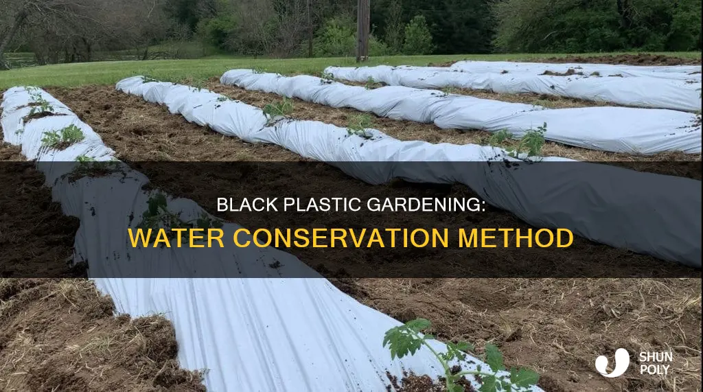 does gardening with black plastic conserve water