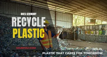 Germany's Plastic Recycling Revolution: A Green Success Story