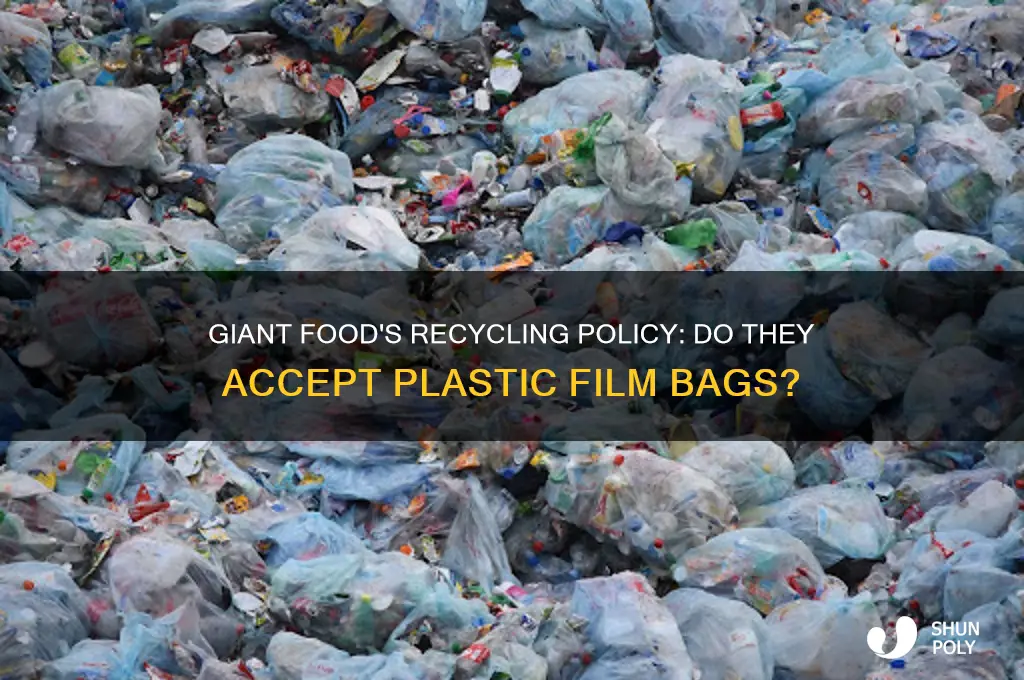 does giant food accept plastic film bags for recycling