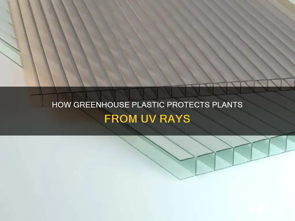 does greenhouse plastic block uv rays