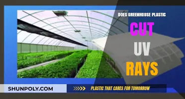 Does Greenhouse Plastic Block UV Rays? Unveiling the Truth