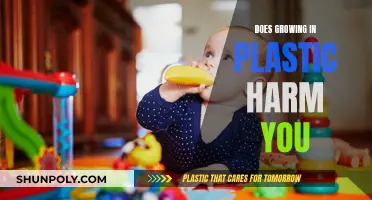 Plastic Planters: Safe or Harmful?