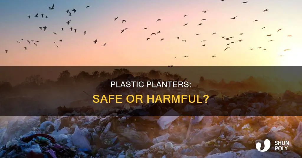 does growing in plastic harm you