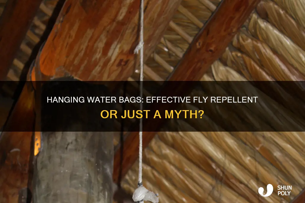 does hanging a plastic bag of water keep flies away