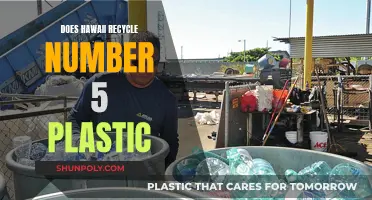 Hawaii's Plastic Recycling: Unveiling the Truth Behind Number 5